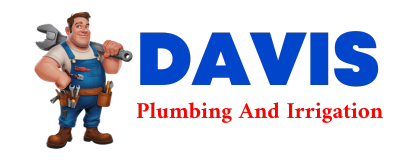 Trusted plumber in ALCALDE